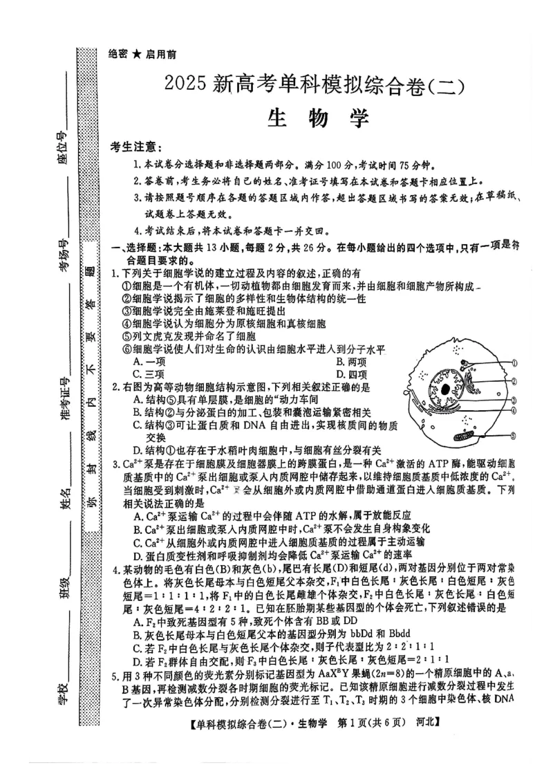 生物试卷_2024-2025高三（6-6月题库）_2024年11月试卷_1102河北省2025届高三上学期新高考单科模拟综合卷（二）_河北省2025届高三上学期新高考单科模拟综合卷（二）生物