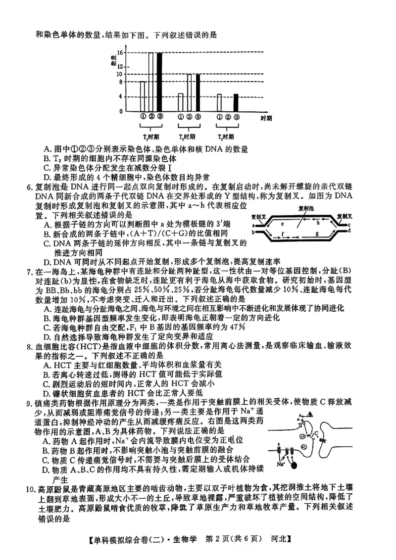 生物试卷_2024-2025高三（6-6月题库）_2024年11月试卷_1102河北省2025届高三上学期新高考单科模拟综合卷（二）_河北省2025届高三上学期新高考单科模拟综合卷（二）生物