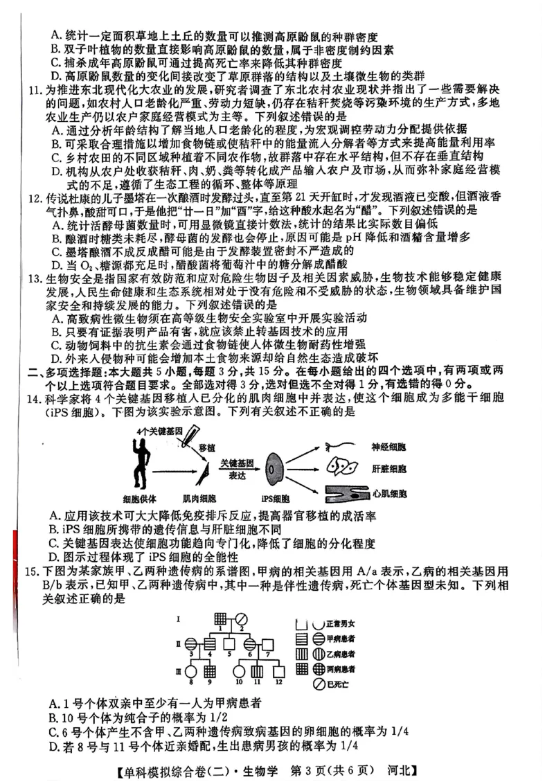 生物试卷_2024-2025高三（6-6月题库）_2024年11月试卷_1102河北省2025届高三上学期新高考单科模拟综合卷（二）_河北省2025届高三上学期新高考单科模拟综合卷（二）生物