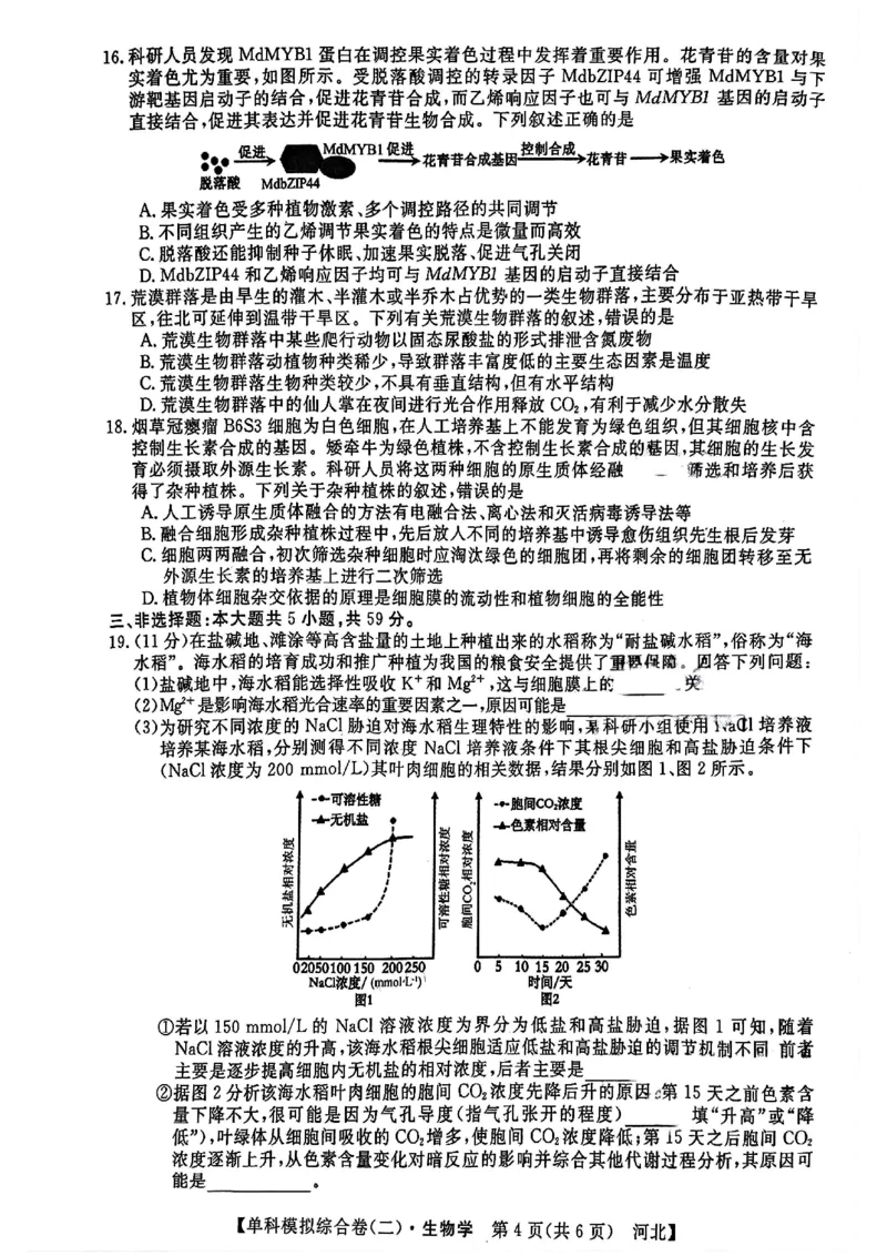 生物试卷_2024-2025高三（6-6月题库）_2024年11月试卷_1102河北省2025届高三上学期新高考单科模拟综合卷（二）_河北省2025届高三上学期新高考单科模拟综合卷（二）生物