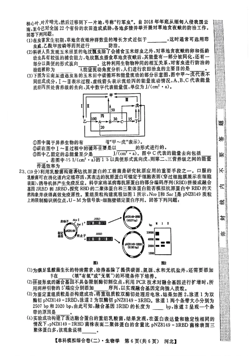 生物试卷_2024-2025高三（6-6月题库）_2024年11月试卷_1102河北省2025届高三上学期新高考单科模拟综合卷（二）_河北省2025届高三上学期新高考单科模拟综合卷（二）生物