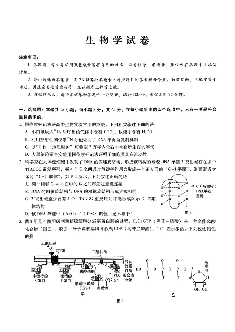 重庆巴蜀中学2025届高三12月适应性月考（四）生物_2024-2025高三（6-6月题库）_2024年12月试卷_1216重庆巴蜀中学2025届高三12月适应性月考（四）