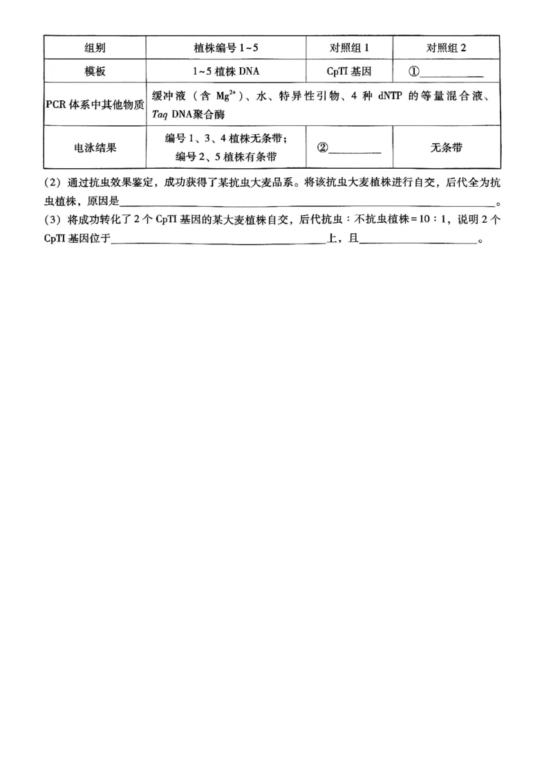 重庆巴蜀中学2025届高三12月适应性月考（四）生物_2024-2025高三（6-6月题库）_2024年12月试卷_1216重庆巴蜀中学2025届高三12月适应性月考（四）