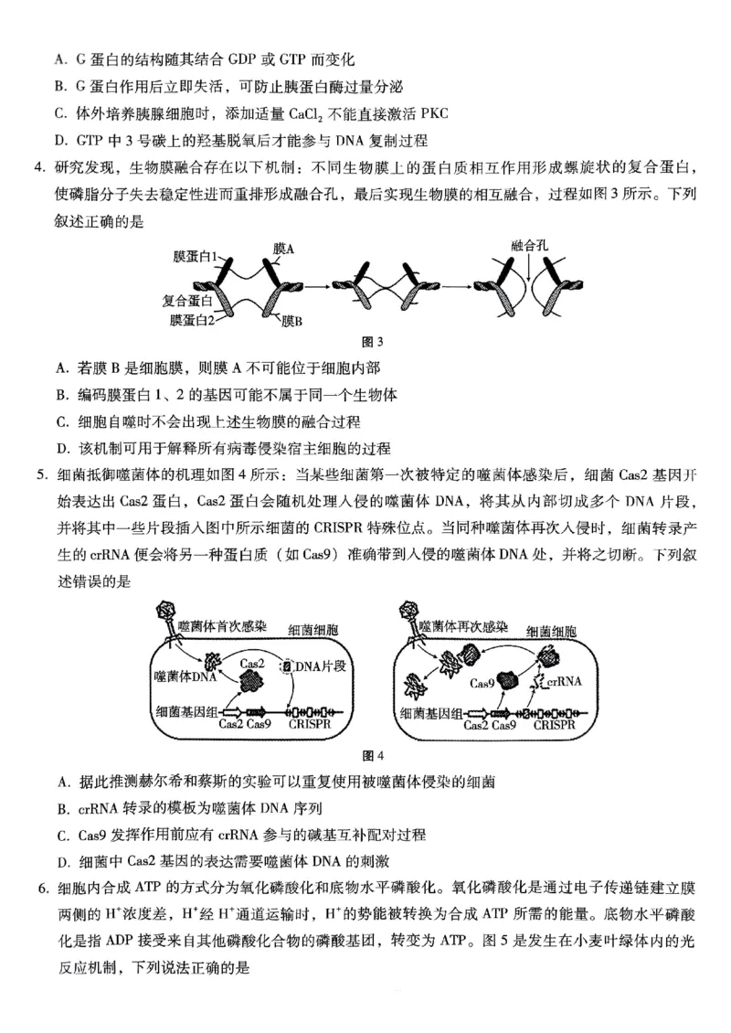 重庆巴蜀中学2025届高三12月适应性月考（四）生物_2024-2025高三（6-6月题库）_2024年12月试卷_1216重庆巴蜀中学2025届高三12月适应性月考（四）