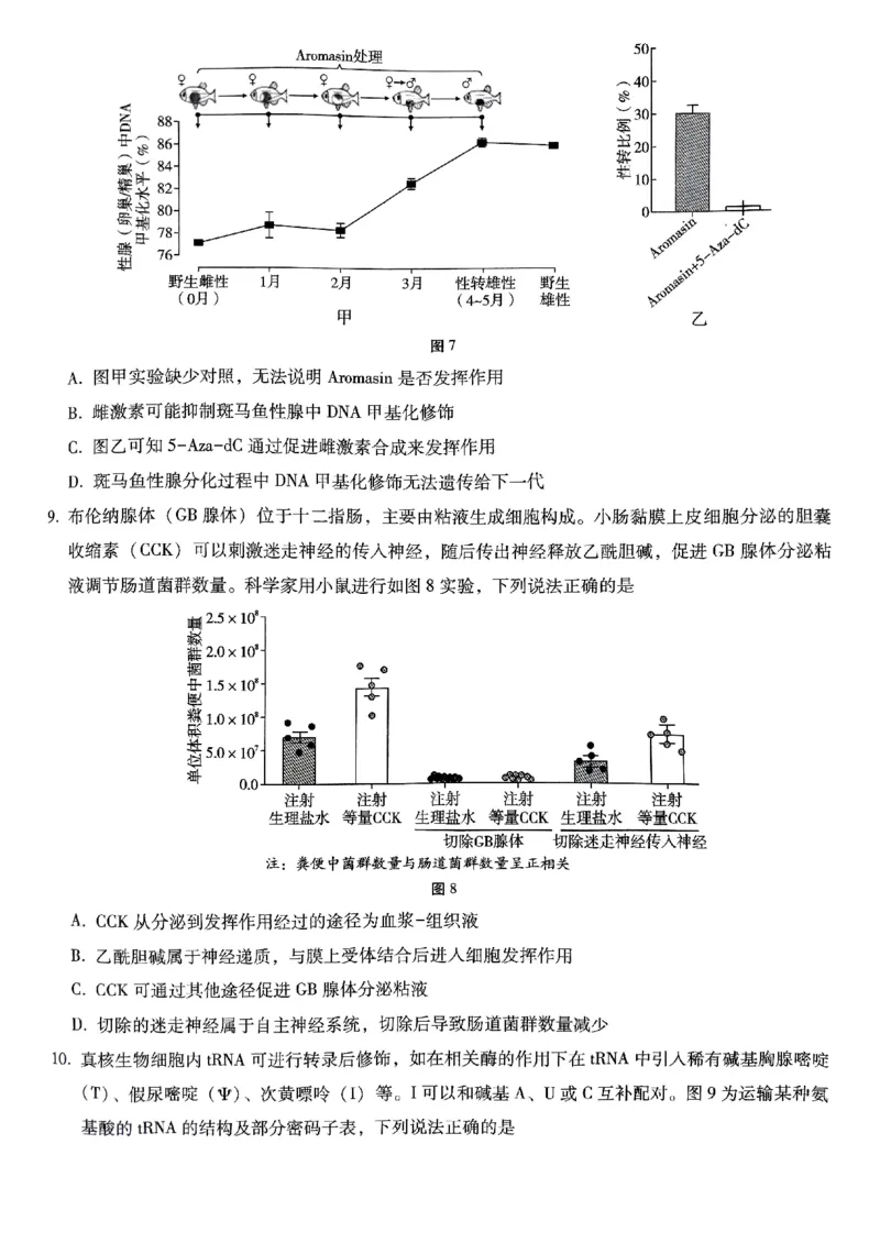 重庆巴蜀中学2025届高三12月适应性月考（四）生物_2024-2025高三（6-6月题库）_2024年12月试卷_1216重庆巴蜀中学2025届高三12月适应性月考（四）