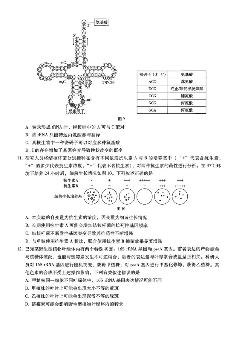重庆巴蜀中学2025届高三12月适应性月考（四）生物_2024-2025高三（6-6月题库）_2024年12月试卷_1216重庆巴蜀中学2025届高三12月适应性月考（四）