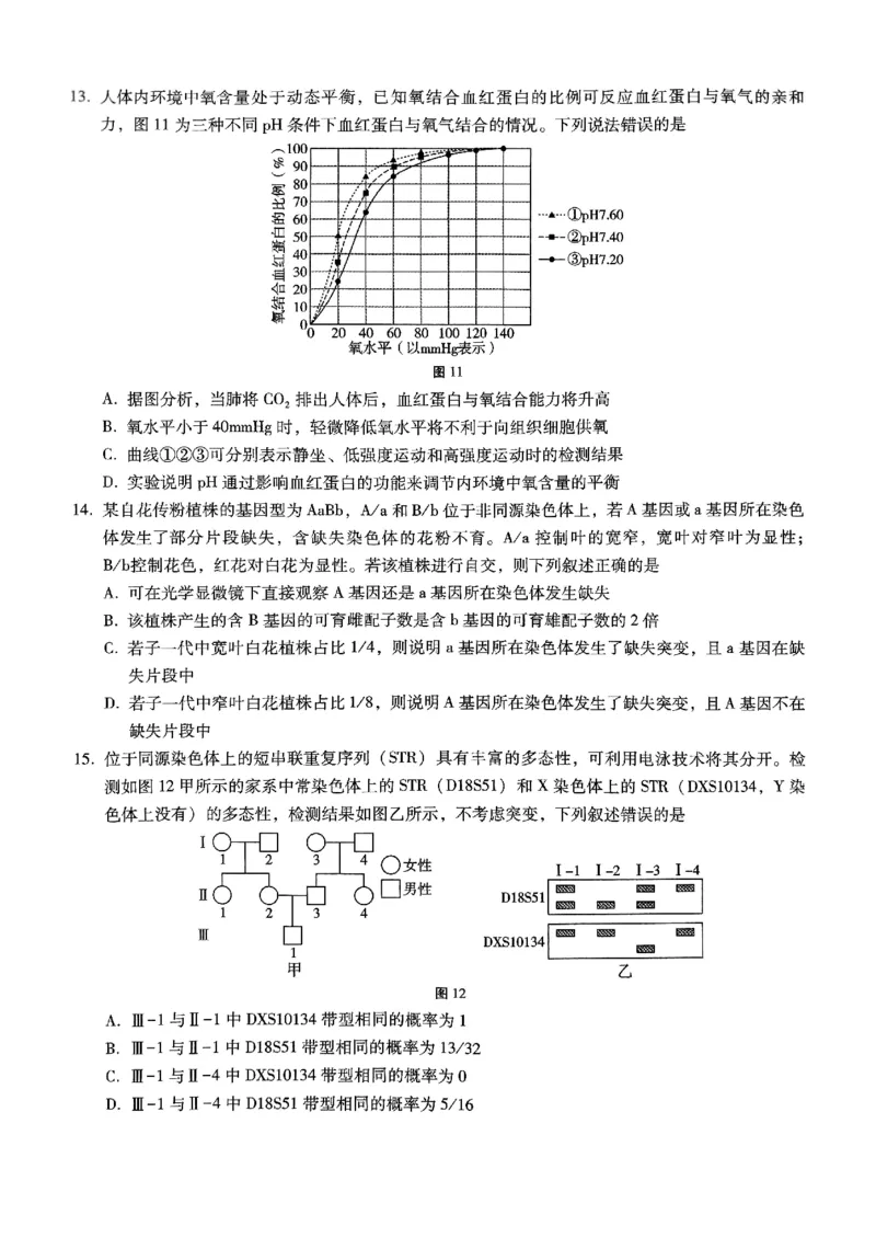 重庆巴蜀中学2025届高三12月适应性月考（四）生物_2024-2025高三（6-6月题库）_2024年12月试卷_1216重庆巴蜀中学2025届高三12月适应性月考（四）