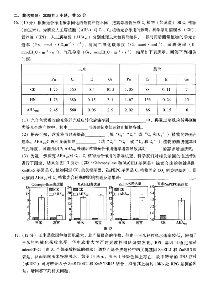 重庆巴蜀中学2025届高三12月适应性月考（四）生物_2024-2025高三（6-6月题库）_2024年12月试卷_1216重庆巴蜀中学2025届高三12月适应性月考（四）