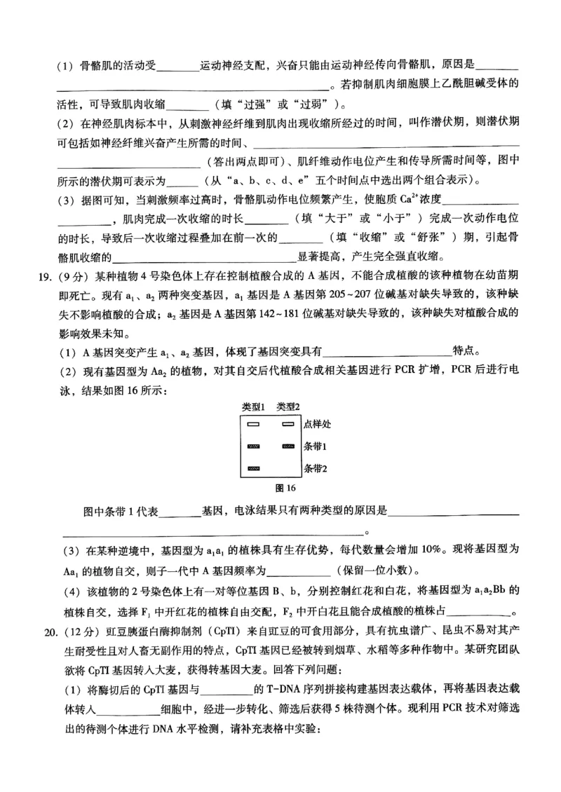 重庆巴蜀中学2025届高三12月适应性月考（四）生物_2024-2025高三（6-6月题库）_2024年12月试卷_1216重庆巴蜀中学2025届高三12月适应性月考（四）