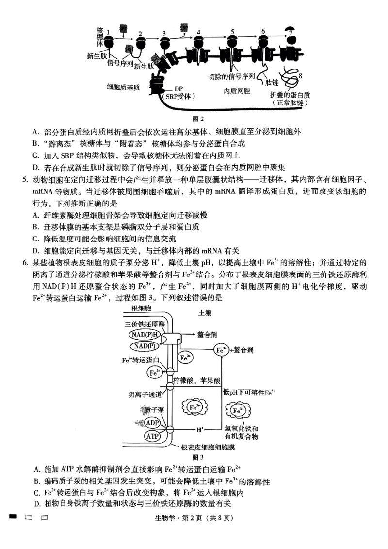 重庆巴蜀中学2025届高考适应性月考卷（二）生物_2024-2025高三（6-6月题库）_2024年10月试卷_1021重庆巴蜀中学2025届高考适应性月考卷（二）