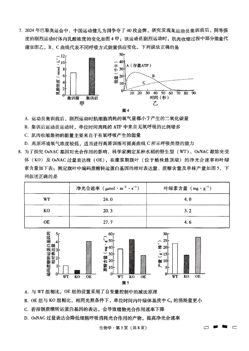 重庆巴蜀中学2025届高考适应性月考卷（二）生物_2024-2025高三（6-6月题库）_2024年10月试卷_1021重庆巴蜀中学2025届高考适应性月考卷（二）