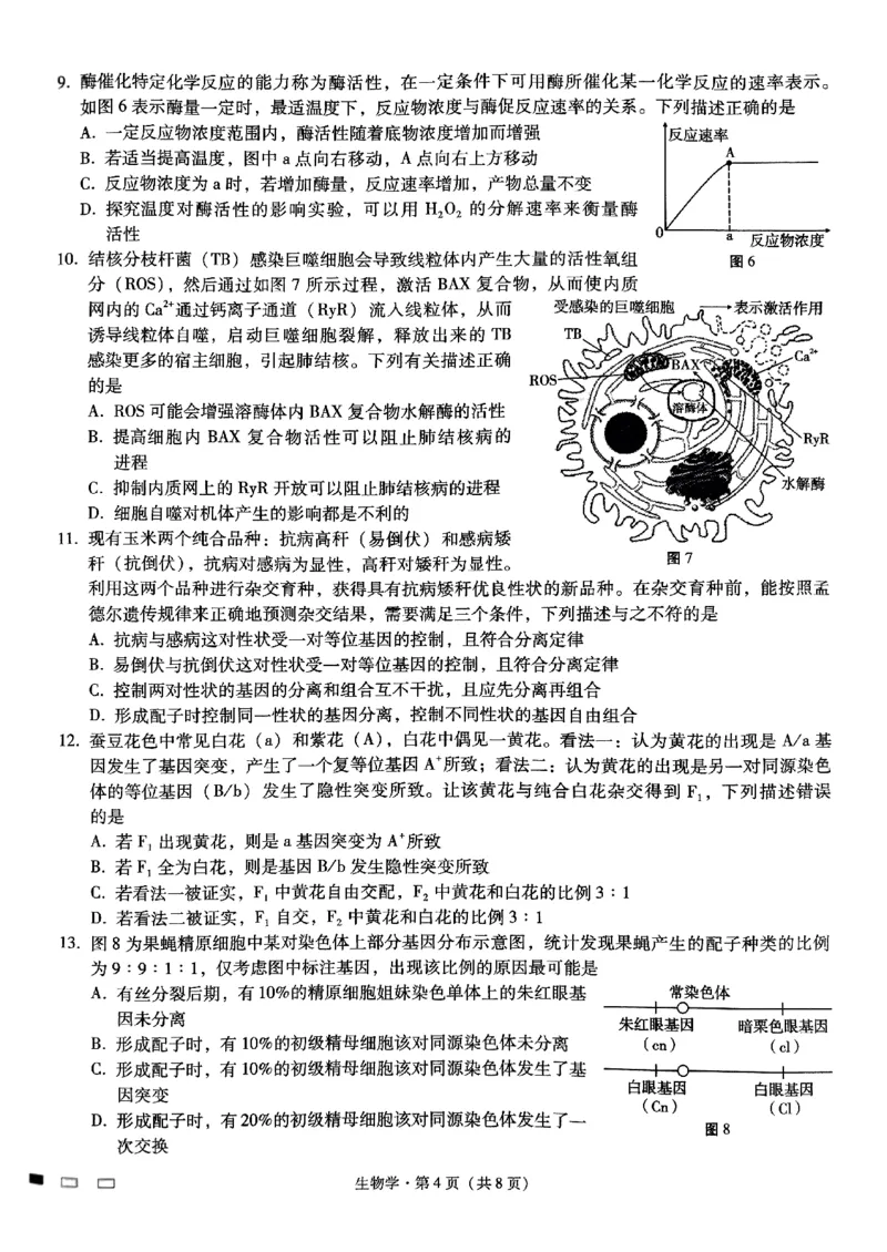 重庆巴蜀中学2025届高考适应性月考卷（二）生物_2024-2025高三（6-6月题库）_2024年10月试卷_1021重庆巴蜀中学2025届高考适应性月考卷（二）