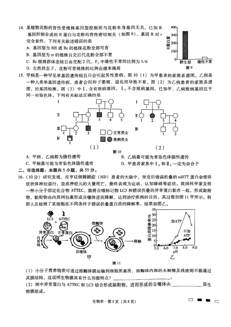 重庆巴蜀中学2025届高考适应性月考卷（二）生物_2024-2025高三（6-6月题库）_2024年10月试卷_1021重庆巴蜀中学2025届高考适应性月考卷（二）