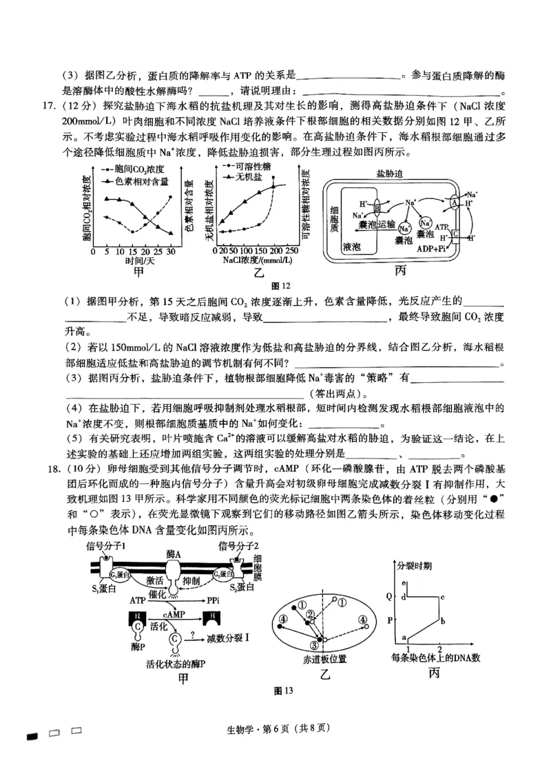 重庆巴蜀中学2025届高考适应性月考卷（二）生物_2024-2025高三（6-6月题库）_2024年10月试卷_1021重庆巴蜀中学2025届高考适应性月考卷（二）