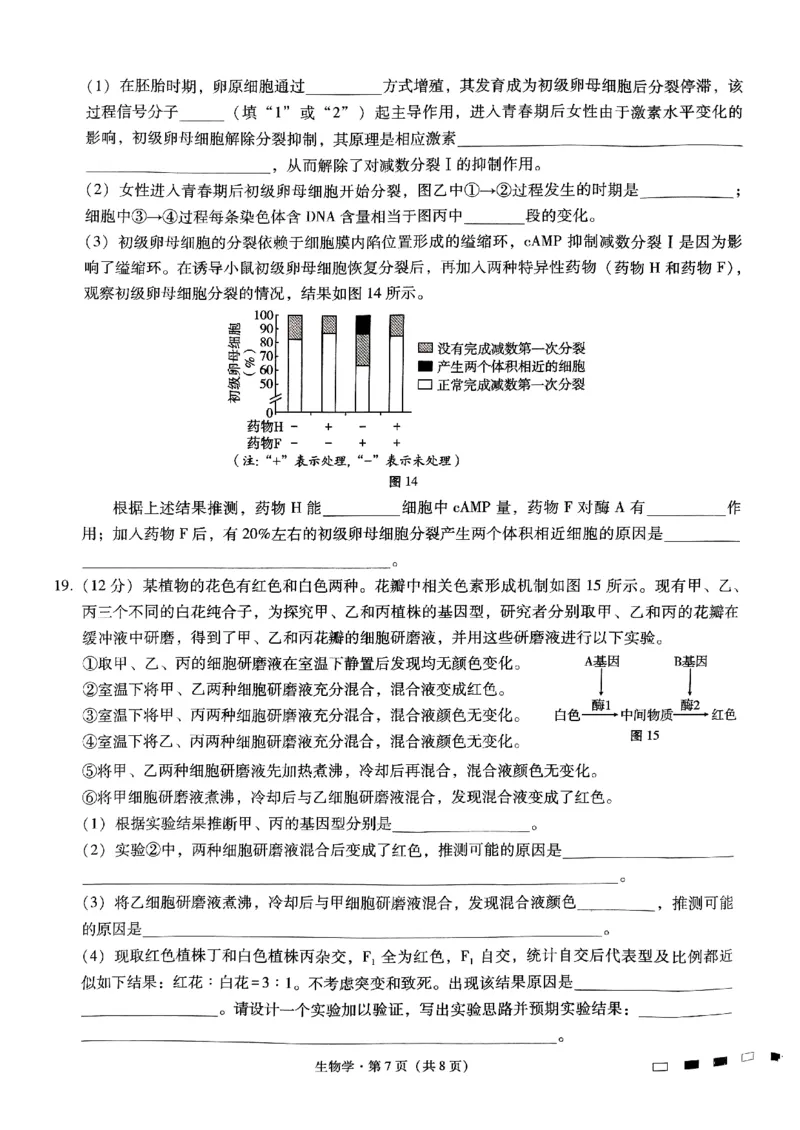重庆巴蜀中学2025届高考适应性月考卷（二）生物_2024-2025高三（6-6月题库）_2024年10月试卷_1021重庆巴蜀中学2025届高考适应性月考卷（二）