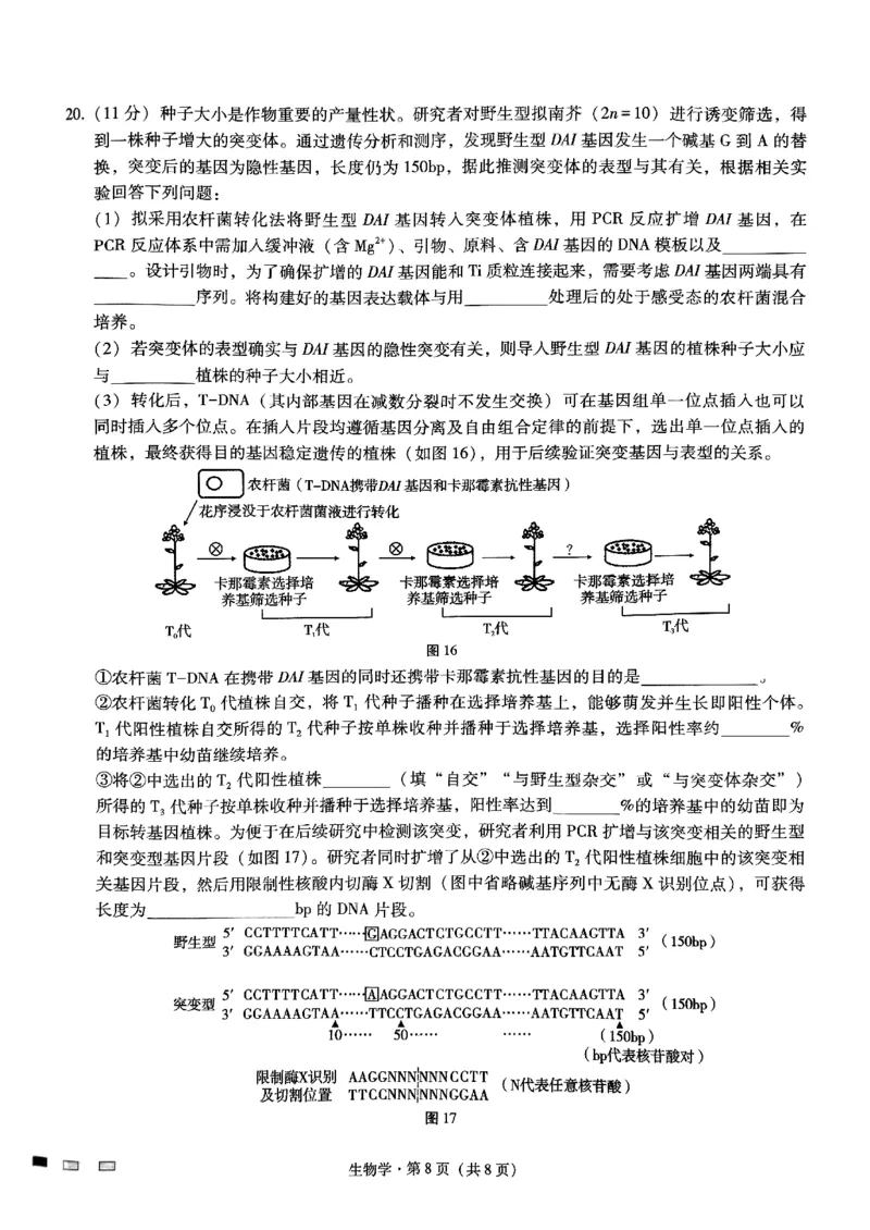 重庆巴蜀中学2025届高考适应性月考卷（二）生物_2024-2025高三（6-6月题库）_2024年10月试卷_1021重庆巴蜀中学2025届高考适应性月考卷（二）