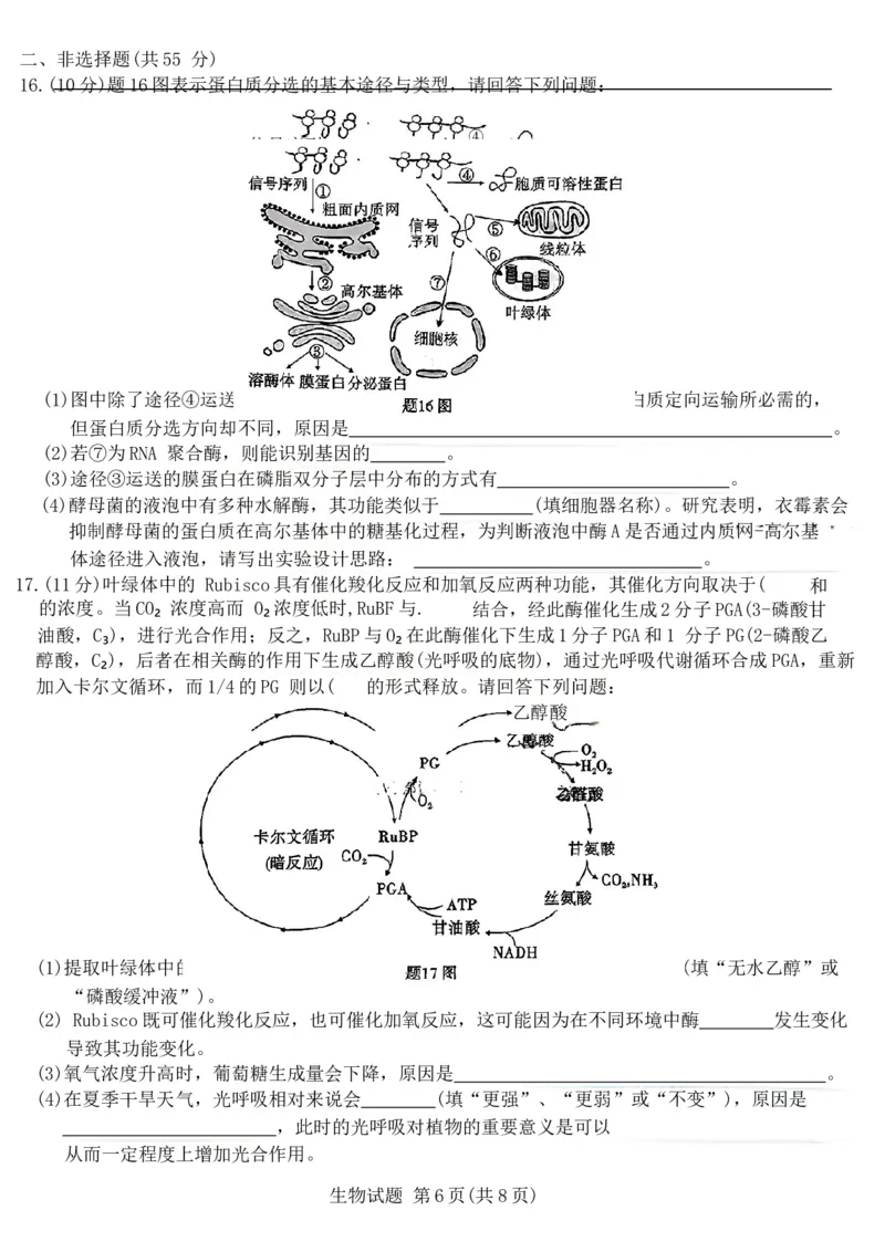 重庆市南开中学校2025届高三第四次质量检测生物试题（含答案）_2024-2025高三（6-6月题库）_2024年12月试卷_1208重庆市南开中学校2025届高三第四次质量检测