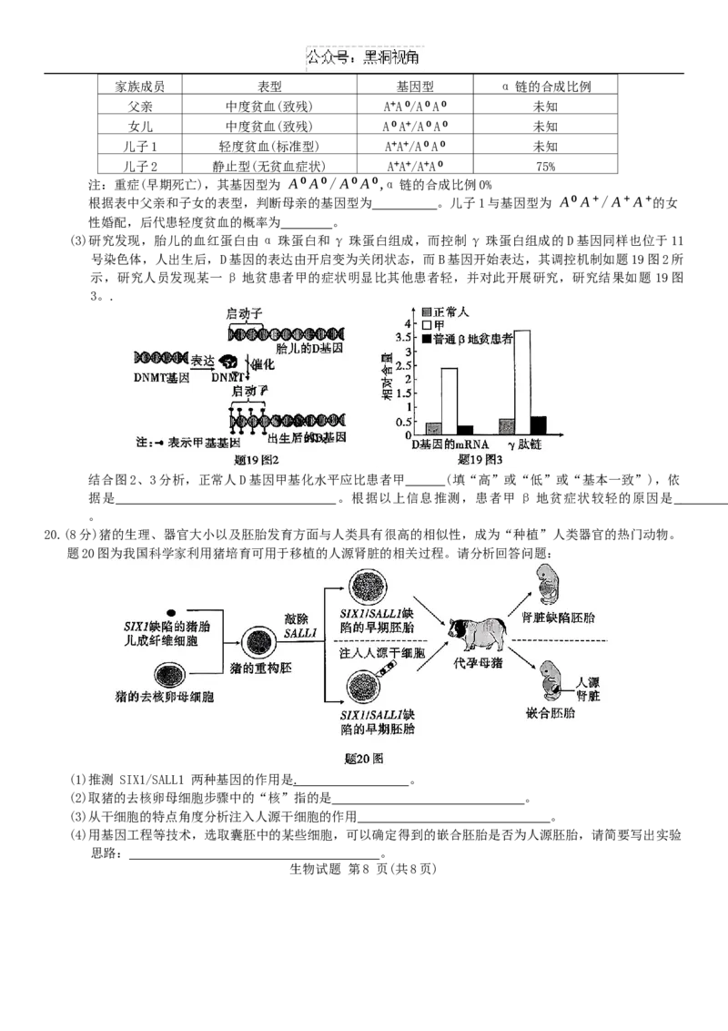 重庆市南开中学校2025届高三第四次质量检测生物试题（含答案）_2024-2025高三（6-6月题库）_2024年12月试卷_1208重庆市南开中学校2025届高三第四次质量检测