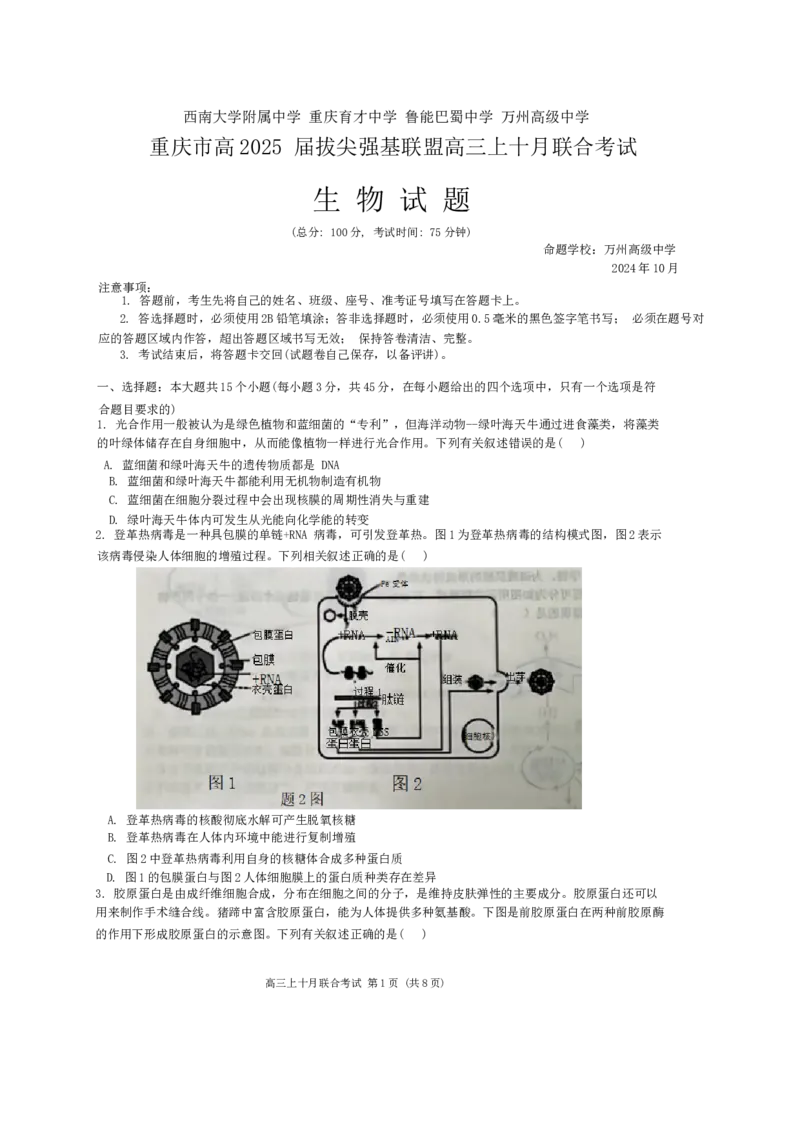 重庆市西南大学附属中学、重庆育才中学等学校2024-2025高三上学期10月联考生物试题（无答案）_2024-2025高三（6-6月题库）_2024年10月试卷