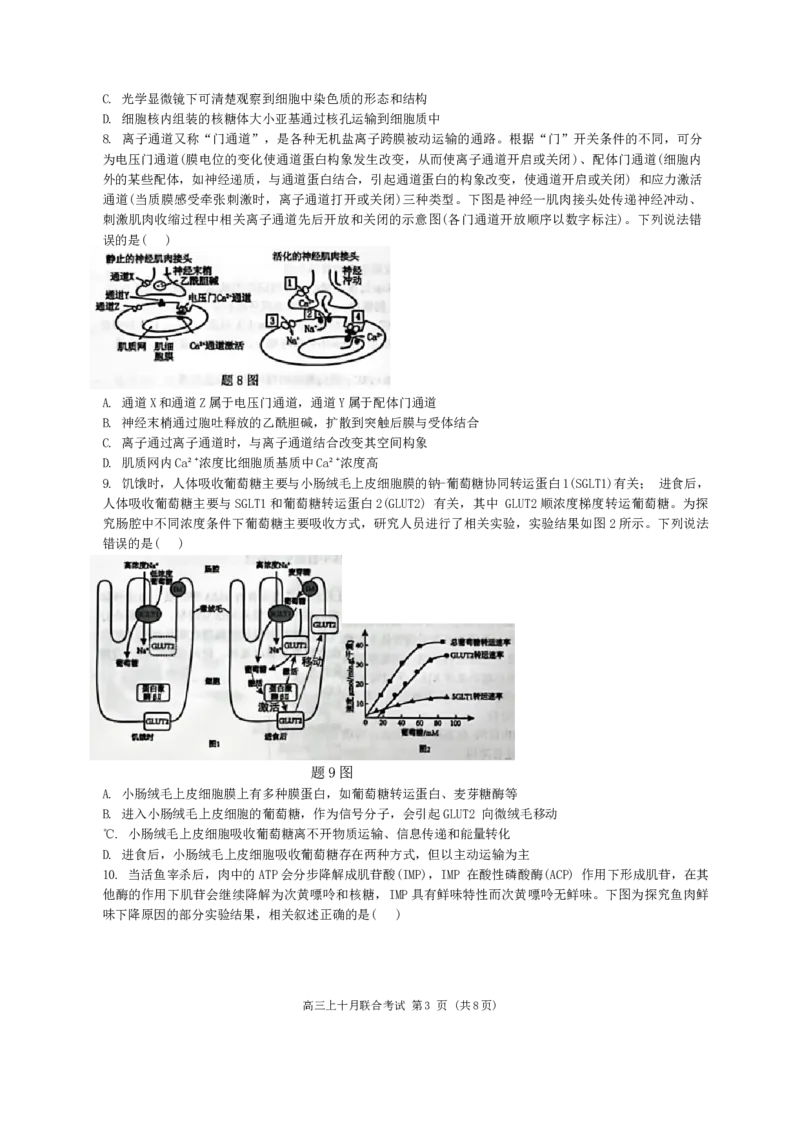 重庆市西南大学附属中学、重庆育才中学等学校2024-2025高三上学期10月联考生物试题（无答案）_2024-2025高三（6-6月题库）_2024年10月试卷