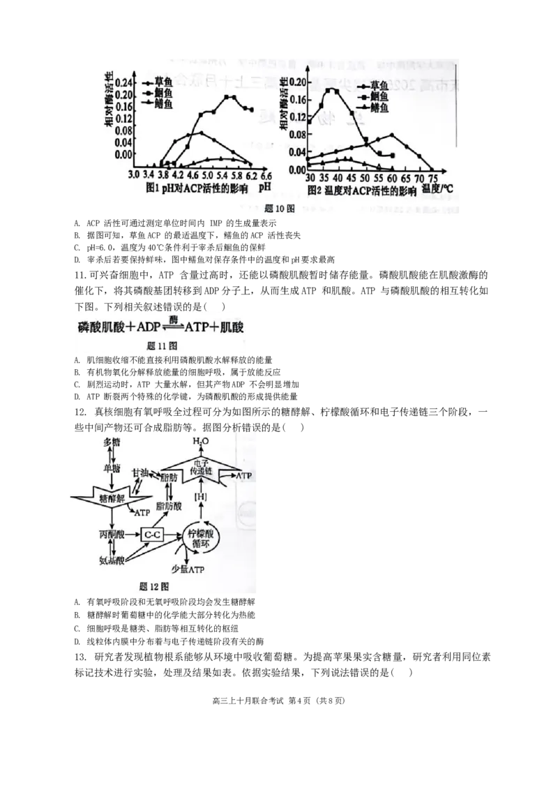 重庆市西南大学附属中学、重庆育才中学等学校2024-2025高三上学期10月联考生物试题（无答案）_2024-2025高三（6-6月题库）_2024年10月试卷