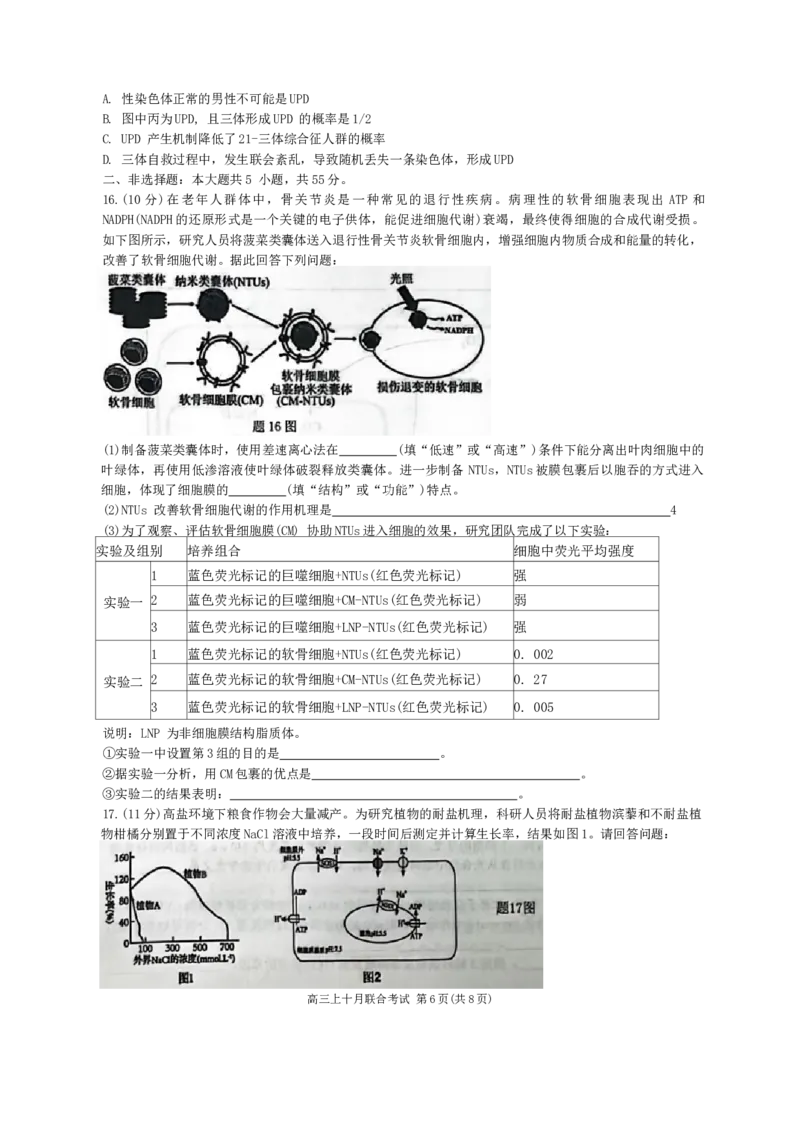 重庆市西南大学附属中学、重庆育才中学等学校2024-2025高三上学期10月联考生物试题（无答案）_2024-2025高三（6-6月题库）_2024年10月试卷