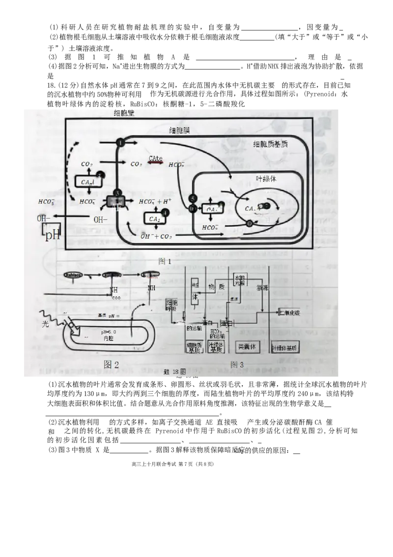重庆市西南大学附属中学、重庆育才中学等学校2024-2025高三上学期10月联考生物试题（无答案）_2024-2025高三（6-6月题库）_2024年10月试卷