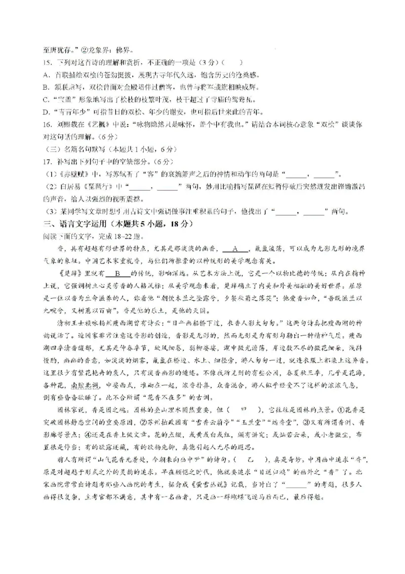 湖南省长沙市雅礼中学2024-2025学年高三上学期月考卷（一）语文试卷+答案_2024-2025高三（6-6月题库）_2024年09月试卷_0908湖南省长沙市雅礼中学2025届高三月考试卷（一）