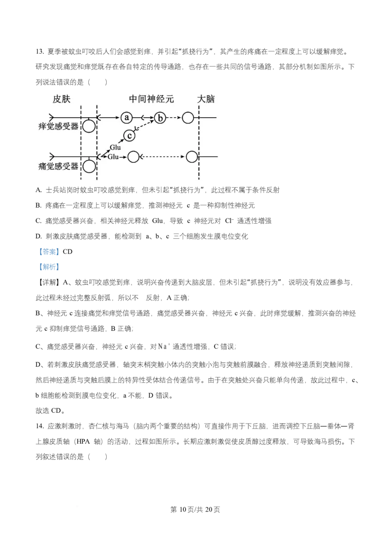 湖南省长沙市第一中学2025-2026学年高二上学期10月月考生物试题Word版含解析_2025年10月高二试卷_251024湖南省长沙市第一中学2025-2026学年高二上学期10月月考（全）