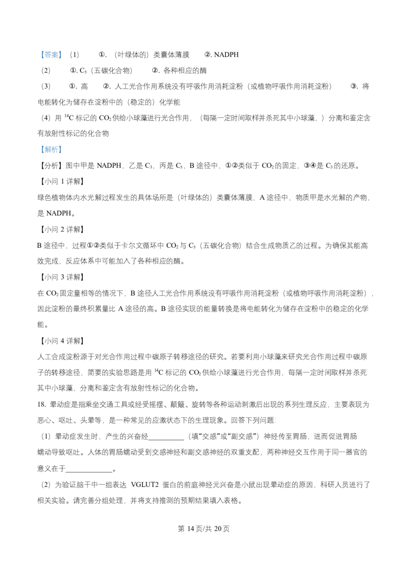 湖南省长沙市第一中学2025-2026学年高二上学期10月月考生物试题Word版含解析_2025年10月高二试卷_251024湖南省长沙市第一中学2025-2026学年高二上学期10月月考（全）