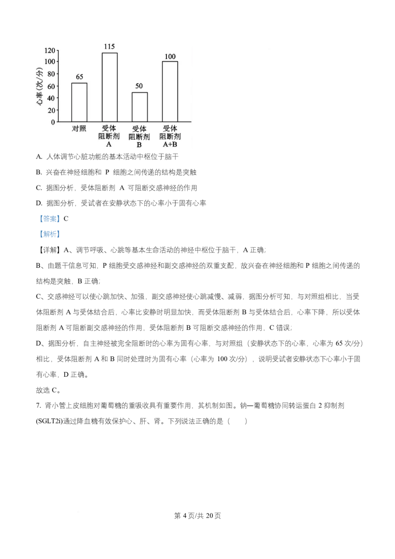湖南省长沙市第一中学2025-2026学年高二上学期10月月考生物试题Word版含解析_2025年10月高二试卷_251024湖南省长沙市第一中学2025-2026学年高二上学期10月月考（全）