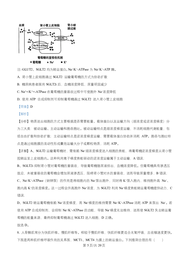 湖南省长沙市第一中学2025-2026学年高二上学期10月月考生物试题Word版含解析_2025年10月高二试卷_251024湖南省长沙市第一中学2025-2026学年高二上学期10月月考（全）