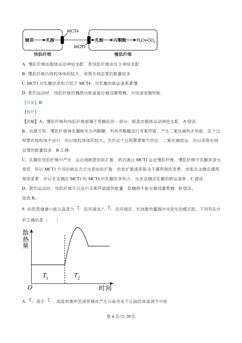 湖南省长沙市第一中学2025-2026学年高二上学期10月月考生物试题Word版含解析_2025年10月高二试卷_251024湖南省长沙市第一中学2025-2026学年高二上学期10月月考（全）