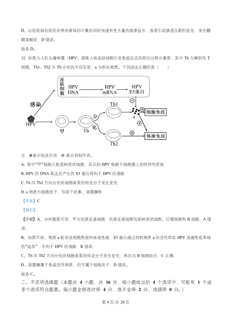 湖南省长沙市第一中学2025-2026学年高二上学期10月月考生物试题Word版含解析_2025年10月高二试卷_251024湖南省长沙市第一中学2025-2026学年高二上学期10月月考（全）