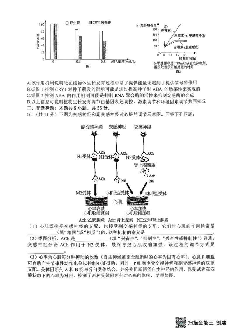 重庆巴蜀中学校2024-2025学年高二上学期期末考试生物试题生物_2024-2025高二（7-7月题库）_2025年03月试卷_0310重庆市巴蜀中学教育集团2024-2025学年高二上学期期末考试