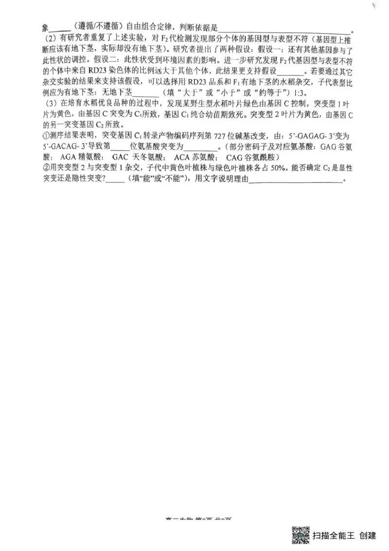 重庆巴蜀中学校2024-2025学年高二上学期期末考试生物试题生物_2024-2025高二（7-7月题库）_2025年03月试卷_0310重庆市巴蜀中学教育集团2024-2025学年高二上学期期末考试