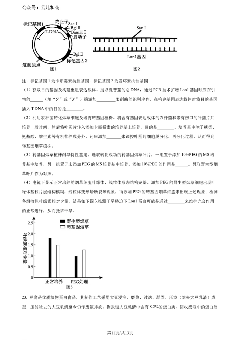 精品解析：重庆市巴蜀中学校2023-2024学年高二下学期7月期末考试生物试题（原卷版）_2024-2025高二（7-7月题库）_2024年07月试卷_0722重庆市巴蜀中学2023-2024学年高二下学期期末
