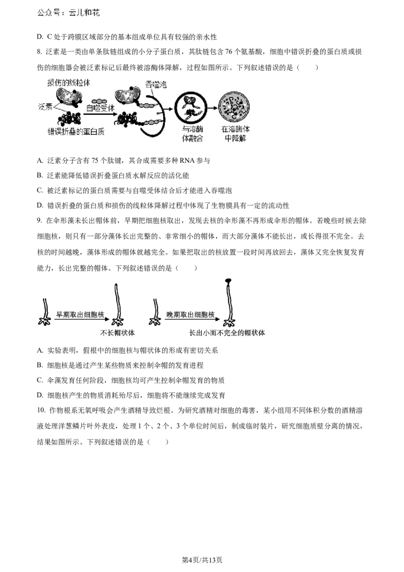 精品解析：重庆市巴蜀中学校2023-2024学年高二下学期7月期末考试生物试题（原卷版）_2024-2025高二（7-7月题库）_2024年07月试卷_0722重庆市巴蜀中学2023-2024学年高二下学期期末