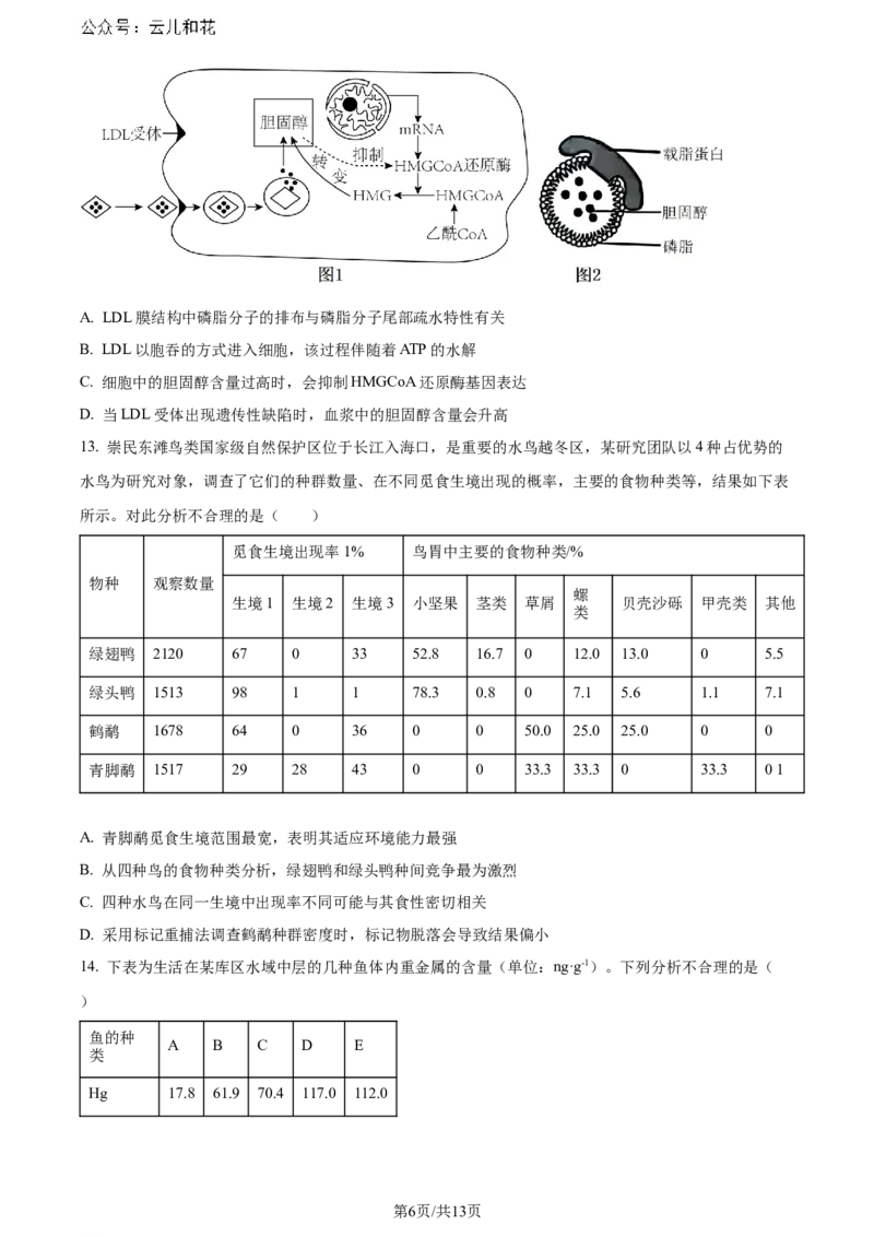 精品解析：重庆市巴蜀中学校2023-2024学年高二下学期7月期末考试生物试题（原卷版）_2024-2025高二（7-7月题库）_2024年07月试卷_0722重庆市巴蜀中学2023-2024学年高二下学期期末