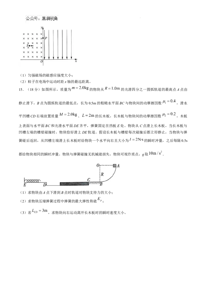 贵州省黔南布依族苗族自治州2025届高三第一次模拟考试物理_2024-2025高三（6-6月题库）_2024年12月试卷_1204贵州省黔南自治州2025届高三第一次模拟考试