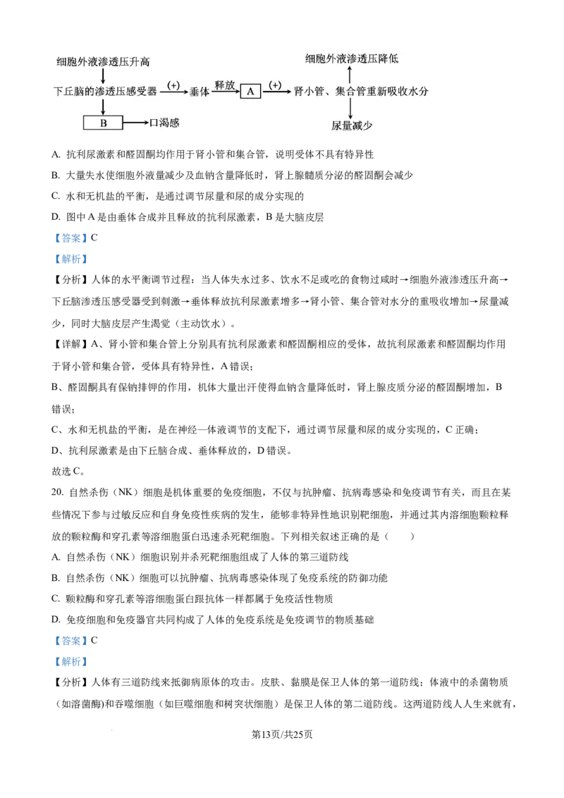 精品解析：黑龙江省牡丹江市第一高级中学2025-2026学年高二上学期9月月考生物试题（解析版）_2025年10月高二试卷_251003黑龙江省牡丹江市第一高级中学2025-2026学年高二上学期9月月考