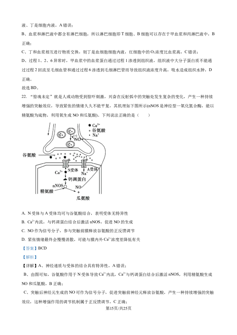 精品解析：黑龙江省牡丹江市第一高级中学2025-2026学年高二上学期9月月考生物试题（解析版）_2025年10月高二试卷_251003黑龙江省牡丹江市第一高级中学2025-2026学年高二上学期9月月考