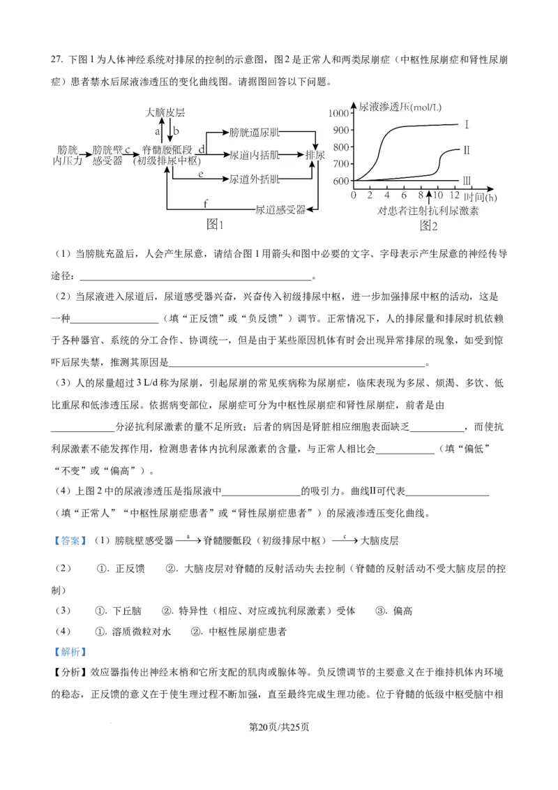 精品解析：黑龙江省牡丹江市第一高级中学2025-2026学年高二上学期9月月考生物试题（解析版）_2025年10月高二试卷_251003黑龙江省牡丹江市第一高级中学2025-2026学年高二上学期9月月考