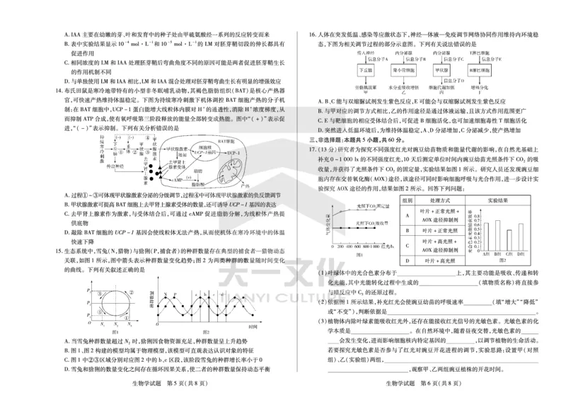 生物学湖南高二12月测_251227湖南省、广西省湘一联盟2025-2026学年高二上学期12月月考（全）