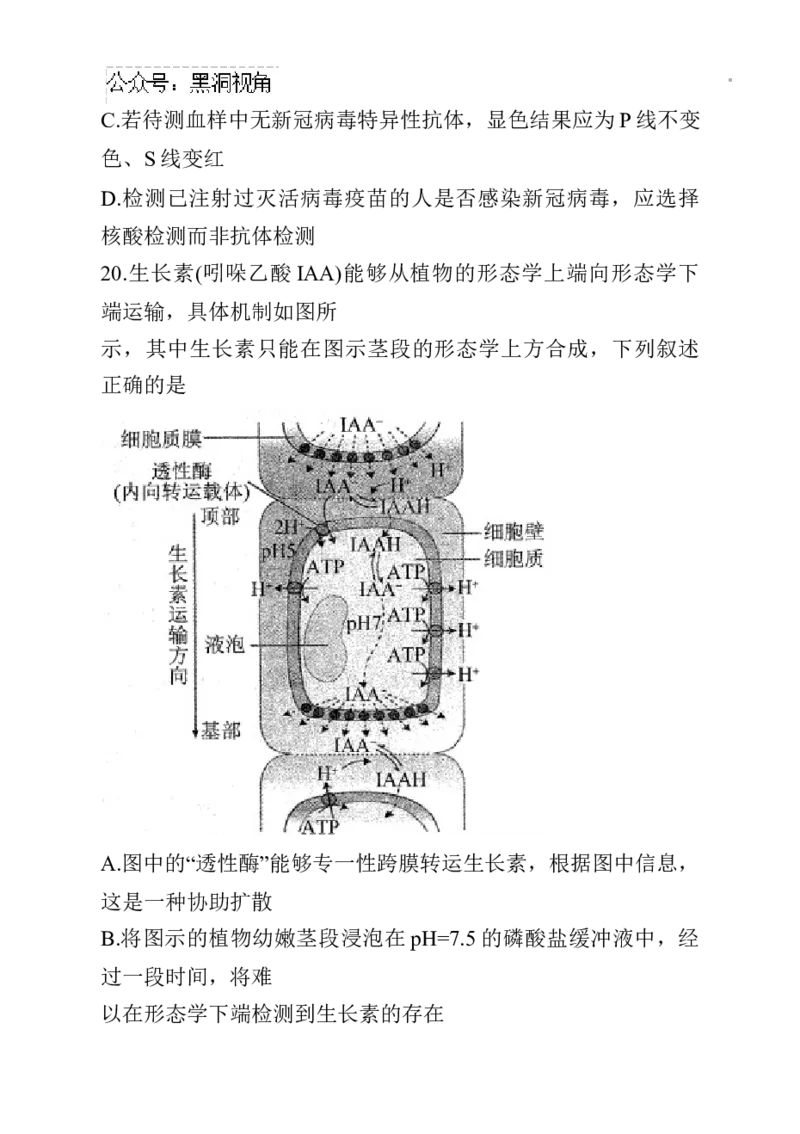 辽宁省名校联盟2024~2025学年高三上学期12月月考生物试卷_2024-2025高三（6-6月题库）_2024年12月试卷_1210辽宁省名校联盟2024年高三12月份联合考试