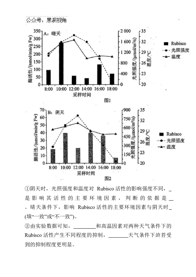 辽宁省名校联盟2024~2025学年高三上学期12月月考生物试卷_2024-2025高三（6-6月题库）_2024年12月试卷_1210辽宁省名校联盟2024年高三12月份联合考试