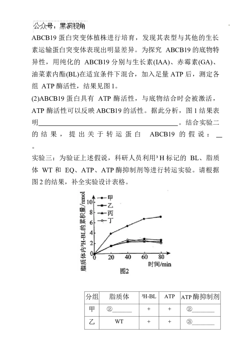 辽宁省名校联盟2024~2025学年高三上学期12月月考生物试卷_2024-2025高三（6-6月题库）_2024年12月试卷_1210辽宁省名校联盟2024年高三12月份联合考试
