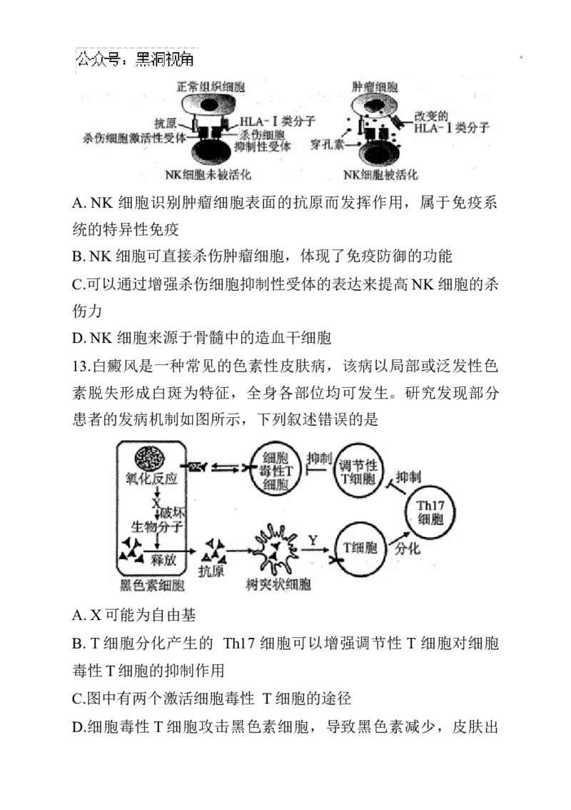 辽宁省名校联盟2024~2025学年高三上学期12月月考生物试卷_2024-2025高三（6-6月题库）_2024年12月试卷_1210辽宁省名校联盟2024年高三12月份联合考试