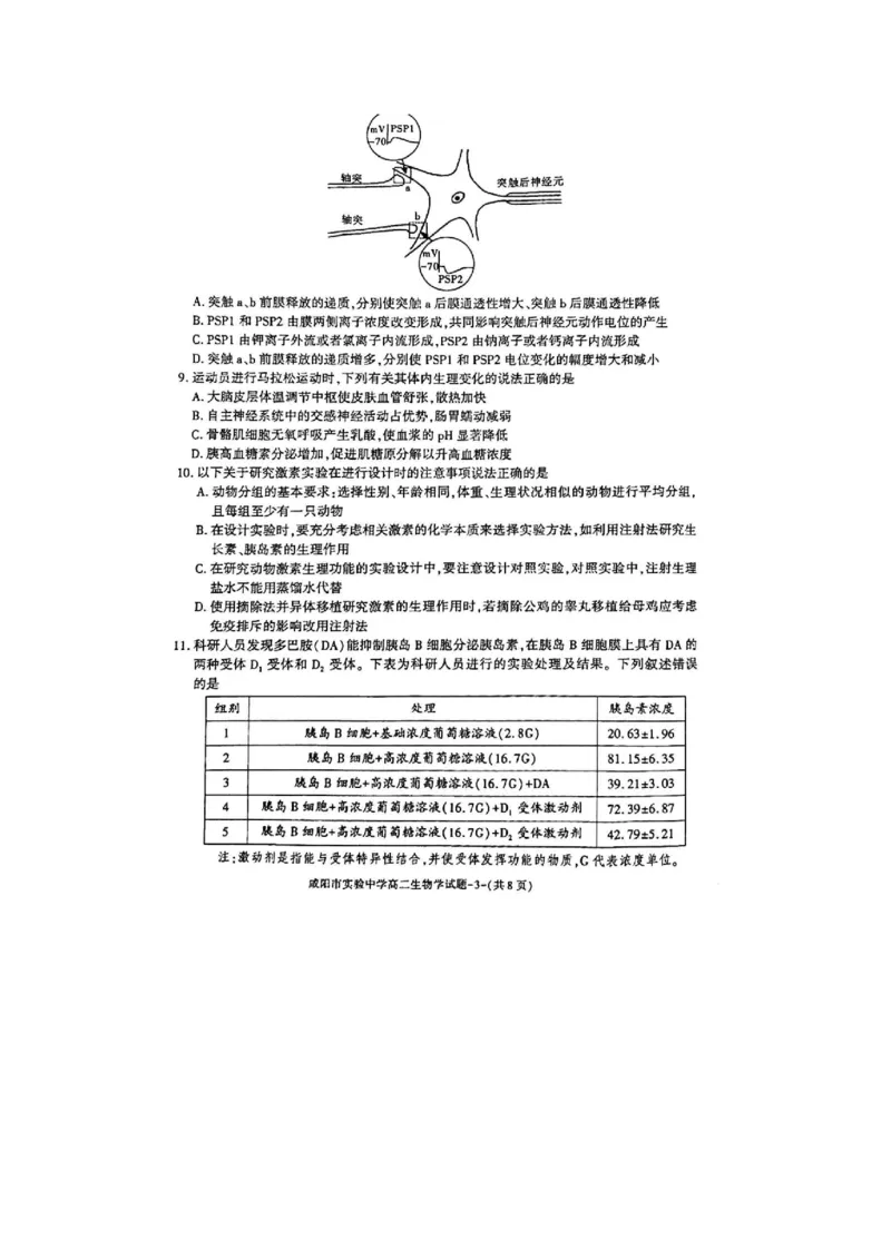生物_2024-2025高二（7-7月题库）_2024年11月试卷_1112陕西省咸阳市实验中学2024-2025学高二上学期第二次质量检测
