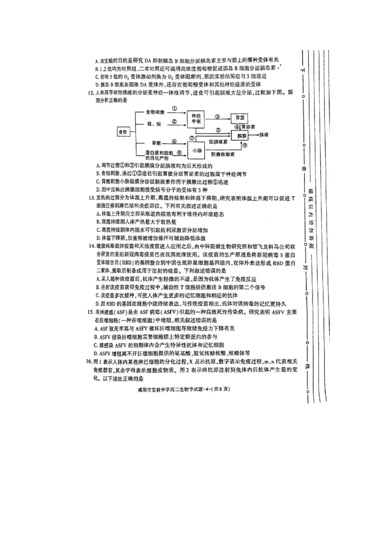 生物_2024-2025高二（7-7月题库）_2024年11月试卷_1112陕西省咸阳市实验中学2024-2025学高二上学期第二次质量检测